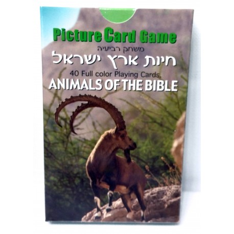 משחק רביעיות חיות הארץ