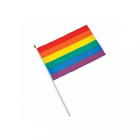 דגל גאווה קטן